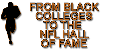 nfl hall of fame